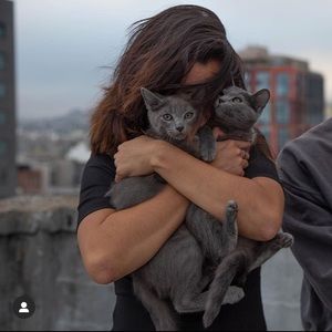 Button down black dress